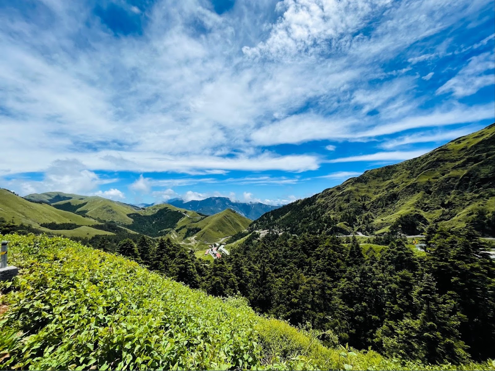 南投離婚證人到戶政辦離婚簽名